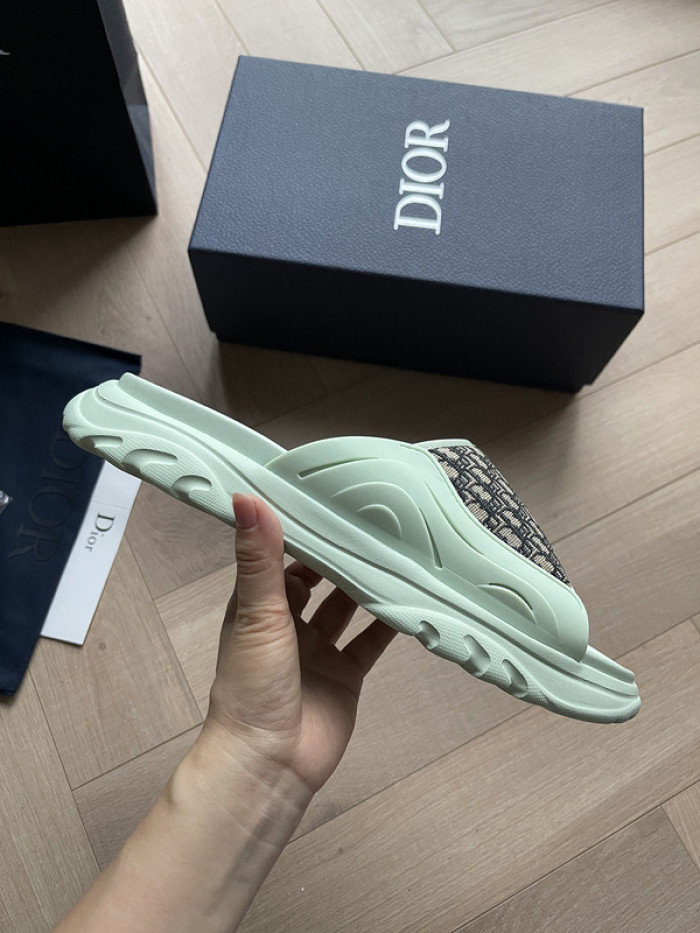 D1R* SLIDE copshoe DR-SLIDE 008