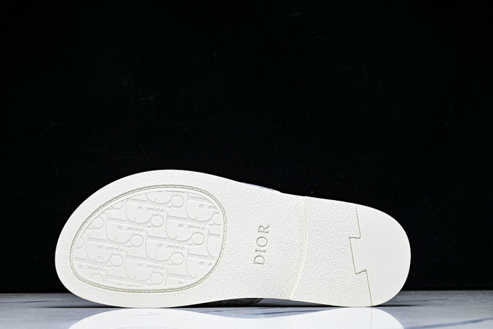 D1R* SLIDE copshoe DR-SLIDE 036