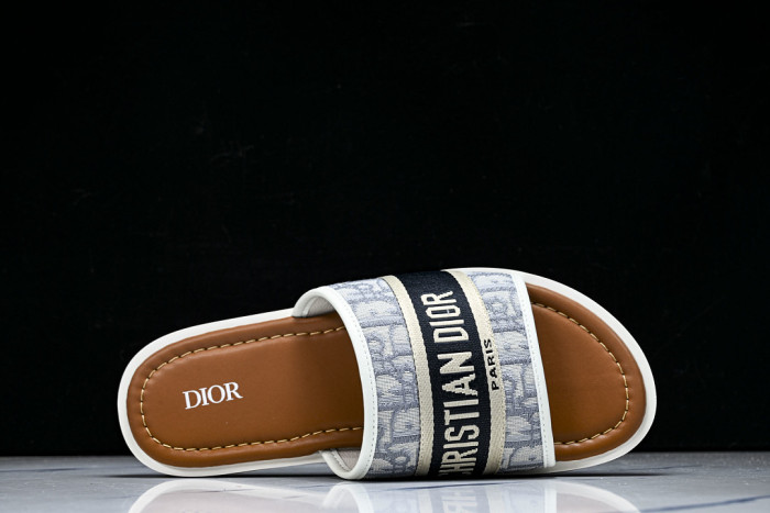 D1R* SLIDE copshoe DR-SLIDE 036