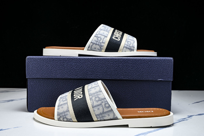 D1R* SLIDE copshoe DR-SLIDE 036