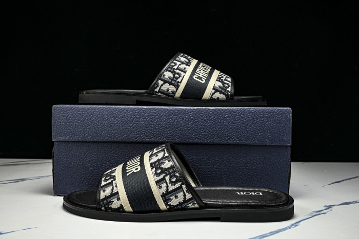 D1R* SLIDE copshoe DR-SLIDE 037