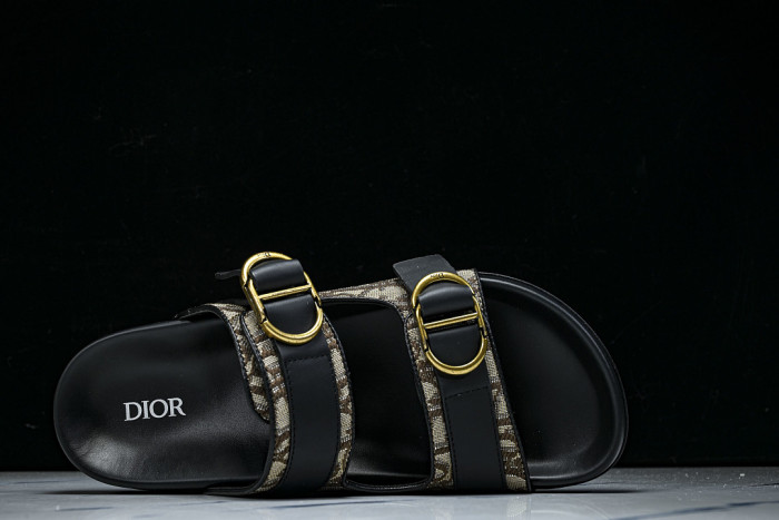 D1R* SLIDE copshoe DR-SLIDE 038