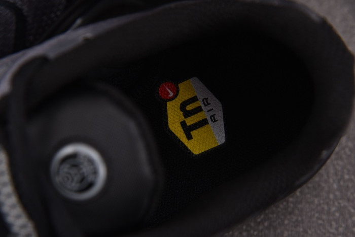 Paris Saint-Germain PSG Nike Air Max Plus IB2253-001